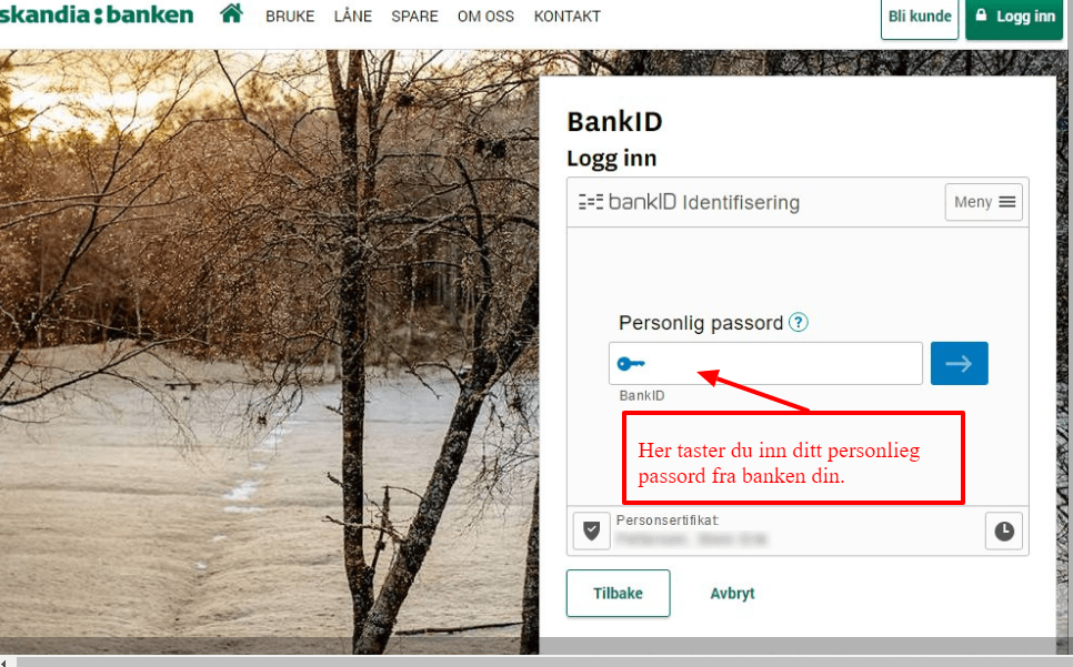 skandiabanken innlogging personlig passord